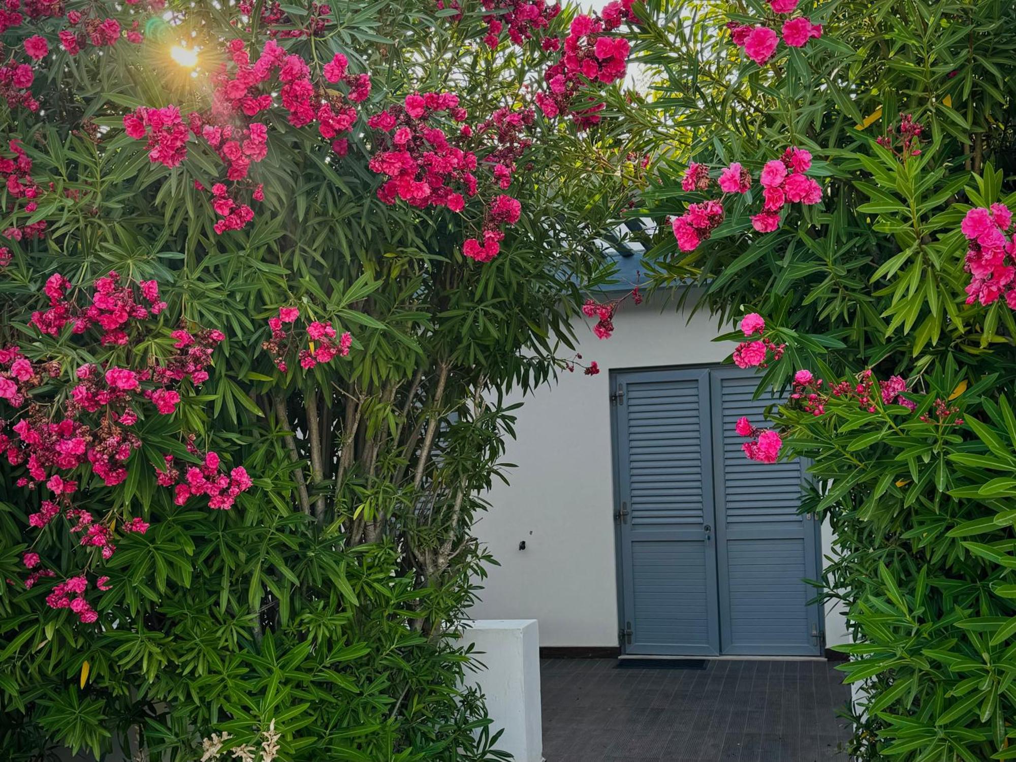 Baia Sangiorgio Hotel & Beach Club Bari Exterior foto